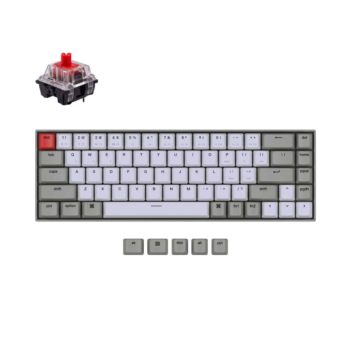 Keychron K6 Non-Backlight Wireless Mechanical Keyboard – Keychron Slovakia