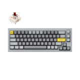 Keychron Q2 QMK VIA custom mechanical keyboard 65 percent layout full aluminum grey frame B knob for Mac Windows iOS RGB backlight with hot swappable Gateron G Pro switch brown