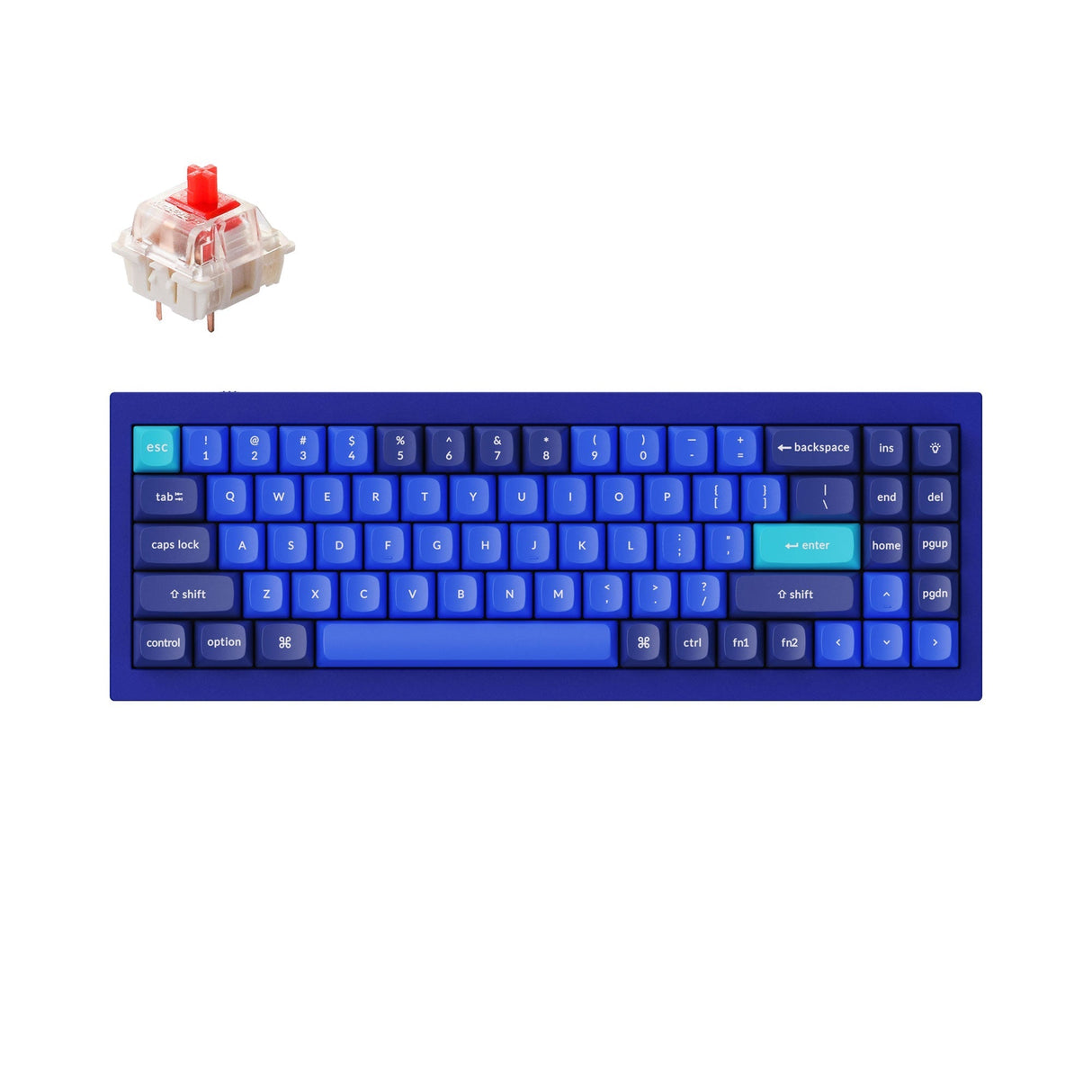 Keychron Q7 QMK/VIA custom mechanical keyboard 70 percent layout full aluminum for Mac Windows Linux fully assembled blue frame with Gateron G Pro switch red